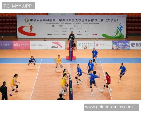 重庆排球队的奋斗与荣耀：一段不平凡的排球纪实之旅