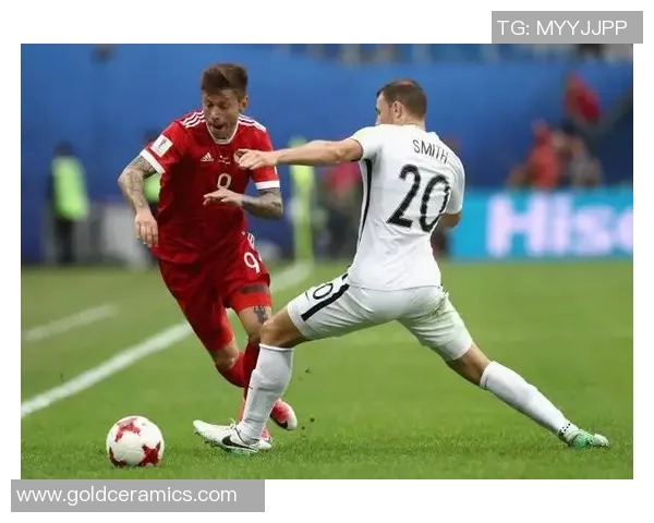 深圳篮球队在联合会杯中的技术表现分析与评价